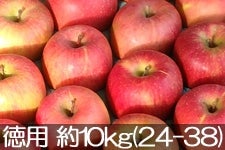 島田フルーツ農園 サンふじ 徳用 約10kg(24-36玉)