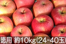 ���c�t���[�c�_�� �T���ӂ� ���p ��10kg(24-40��)