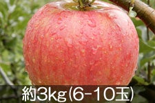 ӂ邳Ɣ_ VimXC[g 3kg(6-10) 929ȍ~
