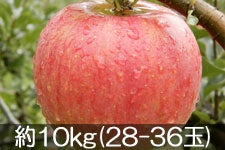 ӂ邳Ɣ_ VimXC[g 10kg(28-36) 101ȍ~