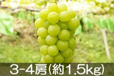 JA{nCh () 3-4[(1.5kg) 915ȍ~