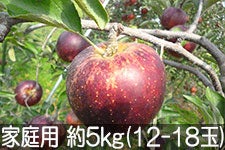 a|_ Hf ƒp 5kg(12-16) 102ȍ~