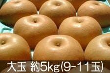 _ 쐅  5kg(9-11) 920ȍ~