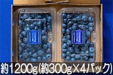 F&F䂴 Ђł̃tbVu[x[ 1200g(300g×4pbN) 73ȍ~