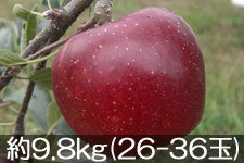 ۖ΃t@[ Hf 9.8kg(26-36) 105ȍ~yMB̊ɂ₳_YF؁zyGRt@[}[zF_