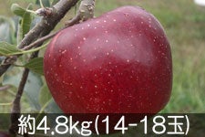 ۖ΃t@[ Hf 4.8kg(14-18) 105ȍ~yMB̊ɂ₳_YF؁zyGRt@[}[zF_