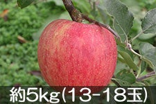 ۖ΃t@[ VimXC[g 5kg(13-18) 1012ȍ~yMB̊ɂ₳_YF؁EGRt@[}[zF_