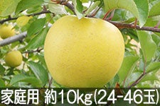 ۖ΃t@[ VimS[h ƒp 10kg(24-46)yMB̊ɂ₳_YF؁EGRt@[}[zF_