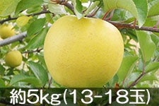 ۖ΃t@[ VimS[h 5kg(13-18) 1120ȍ~yMB̊ɂ₳_YF؁EGRt@[}[zF_