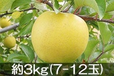 ۖ΃t@[ VimS[h 3kg(7-12) 1120ȍ~yMB̊ɂ₳_YF؁EGRt@[}[zF_