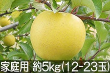 ۖ΃t@[ VimS[h ƒp 5kg(12-23) yMB̊ɂ₳_YF؁EGRt@[}[zF_
