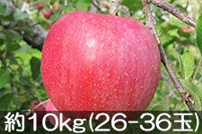 ۖ΃t@[ Tӂ 9.5kg(28-36) 1220ȍ~yMB̊ɂ₳_YF؁EGRt@[}[zF_