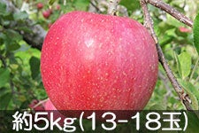 ۖ΃t@[ Tӂ 4.5kg(14-18) 1220ȍ~yMB̊ɂ₳_YF؁EGRt@[}[zF_
