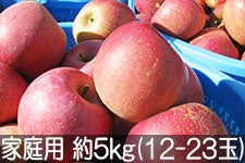 ۖ΃t@[ Tӂ ƒp 4.5kg(12-23) 1220ȍ~yMB̊ɂ₳_YF؁EGRt@[}[zF_