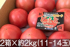 アグリンフレッシュ 匠技サンロードトマト 2箱×約2kg(11-14玉)
