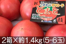 AOtbV ZT[hg}g 2×1.4kg(5-6)