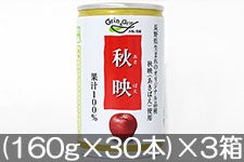 長野興農 秋映りんごジュース (160g×30本)×3箱