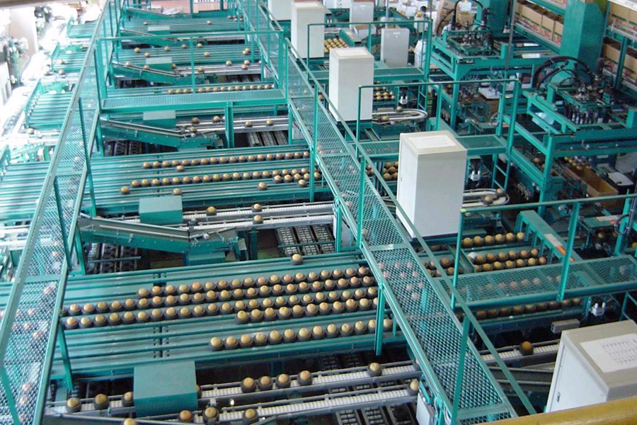 【国消国産】新潟県産日本梨 新興 ※10月末頃より順次発送予定