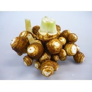 掘り取った状態のさといも♪