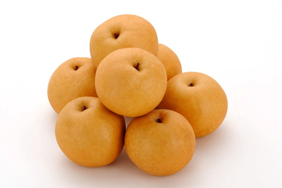 【国消国産】新潟県産日本梨 新興 ※10月末頃より順次発送予定