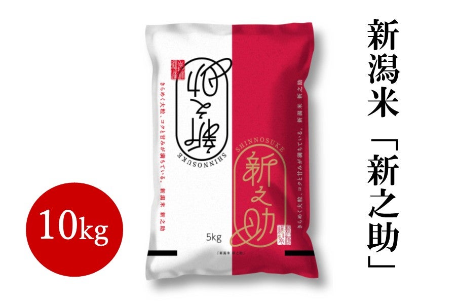 新潟県産米「新之助」 5kg×2袋 令和7年産