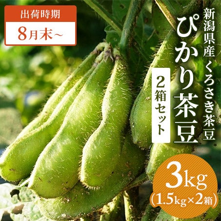新潟県産くろさき茶豆　ぴかり茶豆 1.5kg×2箱セット　※8月末頃より発送予定