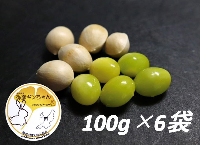 新潟県産 銀杏「弥彦ギンちゃん」 2Lサイズ 600g: ハロー