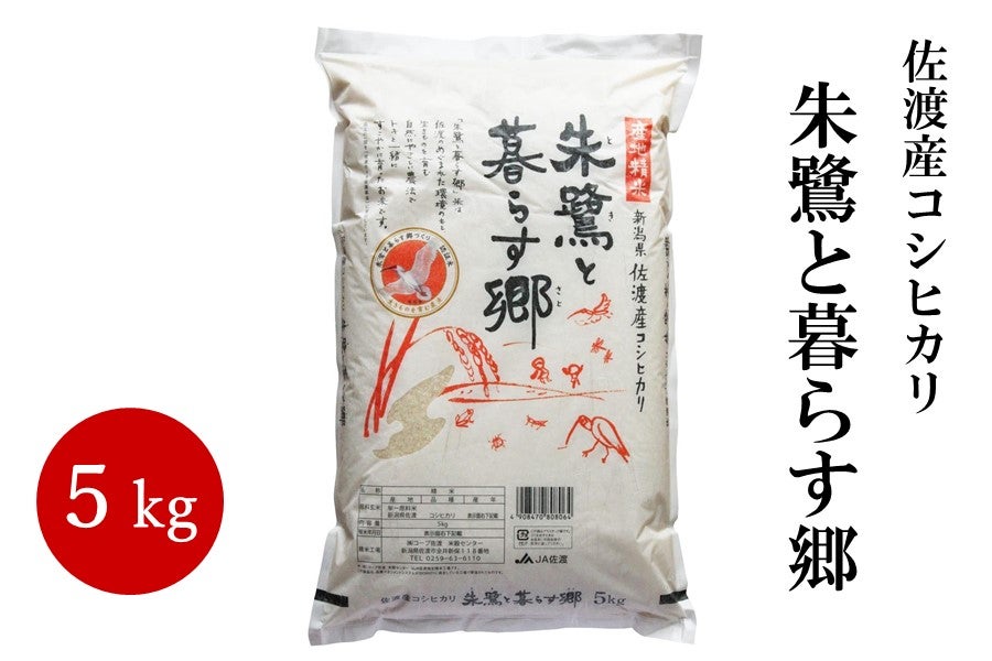 白米5キロ 令和5年佐渡産コシヒカリ - 米