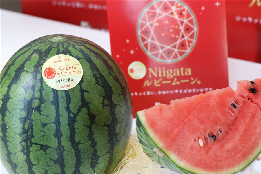 夏のJAタウン祭り】Niigata ルビームーン（小玉すいか）2Lx5玉