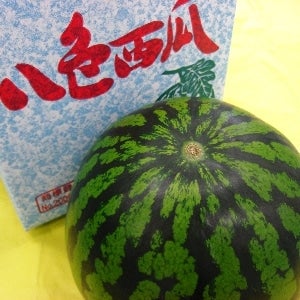 産地直送 通販 お取り寄せ八色西瓜 やいろすいか １玉 8 1 発送 ハロー ｊａ全農にいがた ｊａタウン