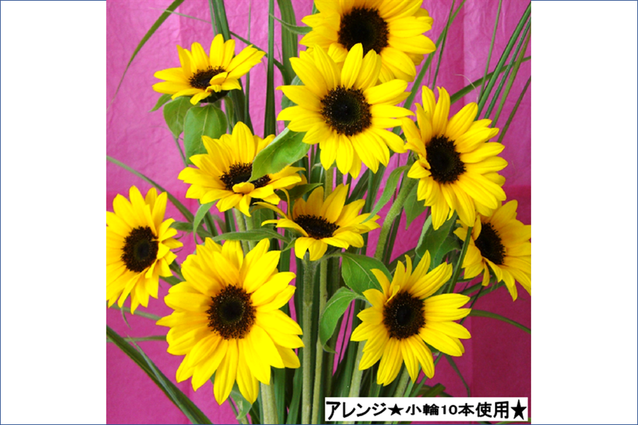 ひまわり おっきめリボン【1357】