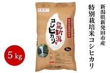 i`kV ʍ͔|ăRVqJ@ߘaVNY