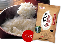 国消国産】【新米】JA北越後特栽米コシヒカリ 5kg 令和5