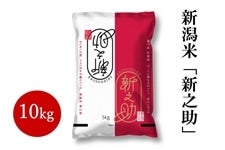 新潟県産米「新之助」 5kg×2袋　令和７年産