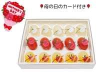 �y��̓��z�V���ʎ��� (�V�����Y�ʕ��g�p�[���[) 15���� ����̓��̃��b�Z�[�W�J�[�h�t��