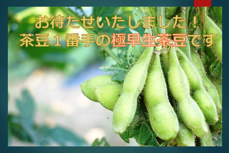  VY낳 ɑ 1.5kg@VPO蔭\