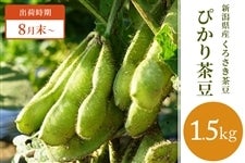 新潟県産くろさき茶豆　ぴかり茶豆 1.5kg　※8月末頃より発送予定