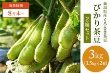 新潟県産くろさき茶豆　ぴかり茶豆 1.5kg×2箱セット