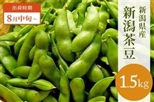 新潟県産（ＪＡ北越後産）「新潟茶豆」1.5kg