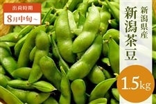 VYikzYjuVv1.5kg@W{蔭\