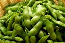 VYikzYjuv1kg@V{蔭\