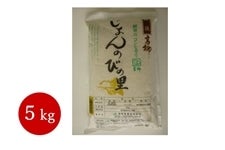【送料無料】柏崎市産 米 じょんのびの里コシヒカリ 5kg　令和4年産