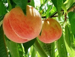 VYii`zYj 7{蔭\