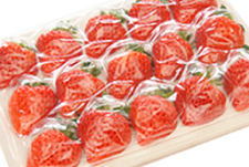 �y�匈�Z�Z�[���z�V�����Y������ �z��P(15������) �������͂Q����������̗\��ł��I�I