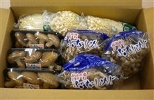 �y�匈�Z�Z�[���z�V�����Y ���̂��R��Z�b�g