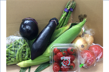 �y�匈�Z�Z�[���z�V�����Y��؃Z�b�g�i�W��ȏ�j