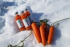 �y�匈�Z�Z�[���z�X�� �ቺ�l�Q�W���[�X 350ml×12�{��