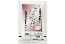 VYRVqJ 񂵂 5kg@ߘaUNY
