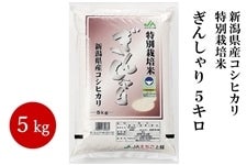 VYRVqJ ʍ͔| 񂵂 5kg@ߘaVNY