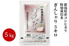 �y�������Y�z�V�����Y�R�V�q�J�� ���ʍ͔|�� ���񂵂�� 5kg�@�ߘa�W�N�Y ��10��20�������珇�������\��